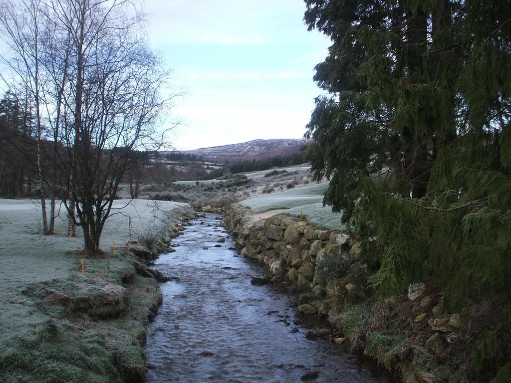 Bed and Breakfast Macreddin Rock Bed & Breakfast à Aughrim Extérieur photo