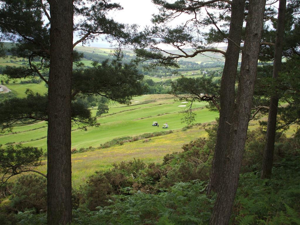 Bed and Breakfast Macreddin Rock Bed & Breakfast à Aughrim Extérieur photo