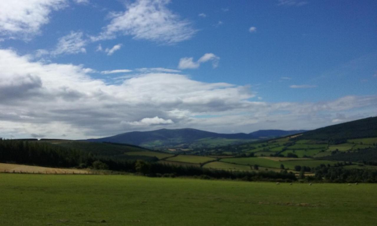 Bed and Breakfast Macreddin Rock Bed & Breakfast à Aughrim Extérieur photo