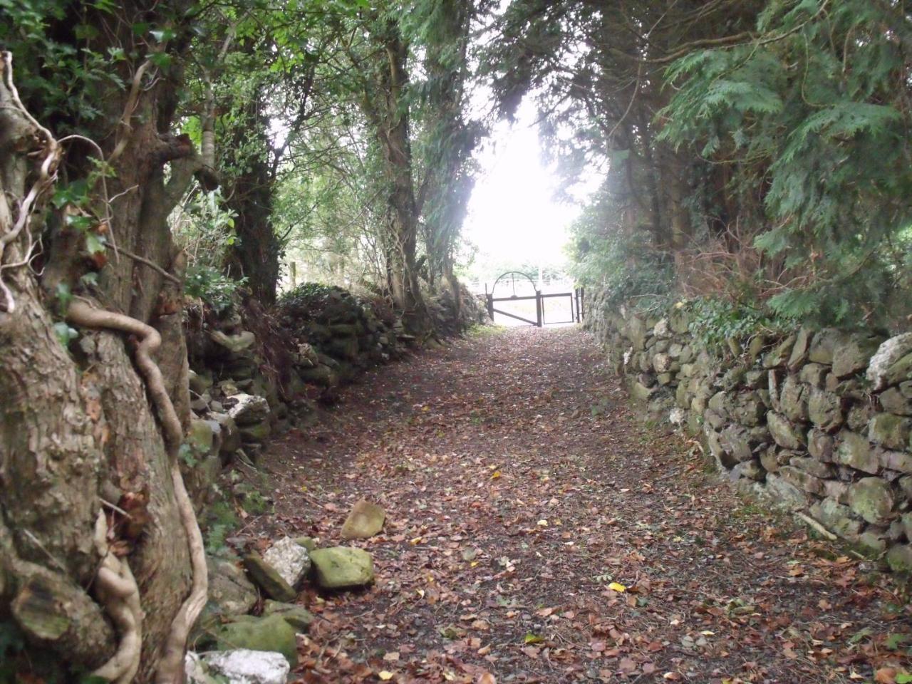 Bed and Breakfast Macreddin Rock Bed & Breakfast à Aughrim Extérieur photo